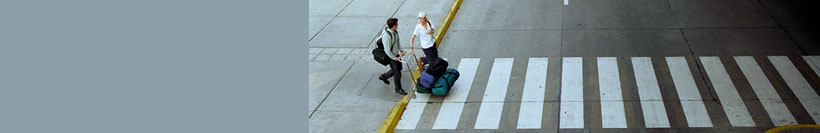 Wheeled Luggage